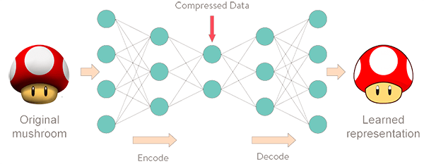 keras_autoencoders_applications
